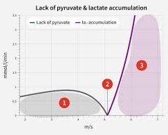 lactateacc